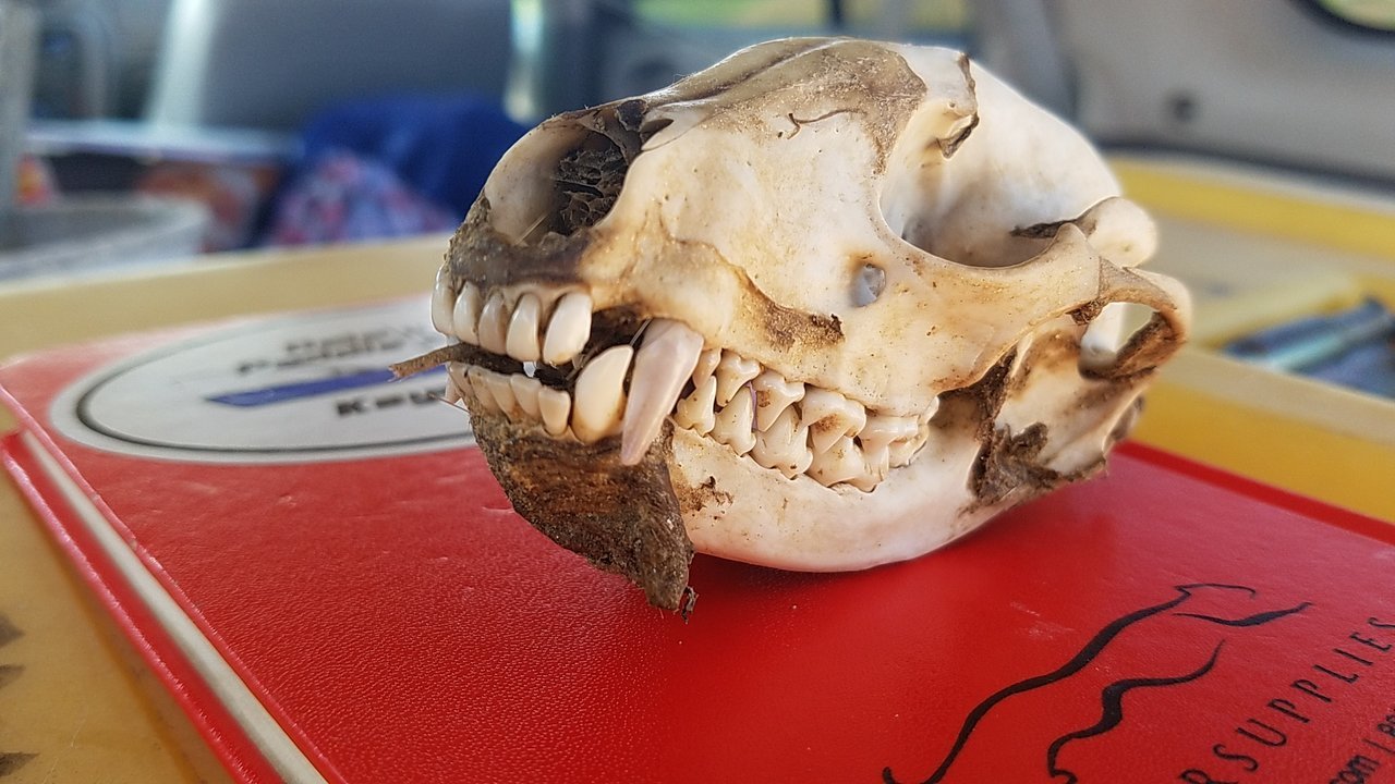 20170911_101429.jpg