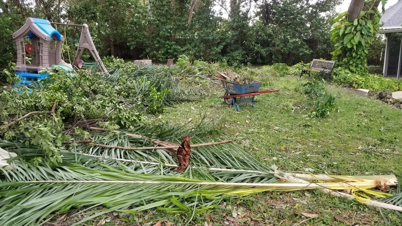 20170911_134533.jpg