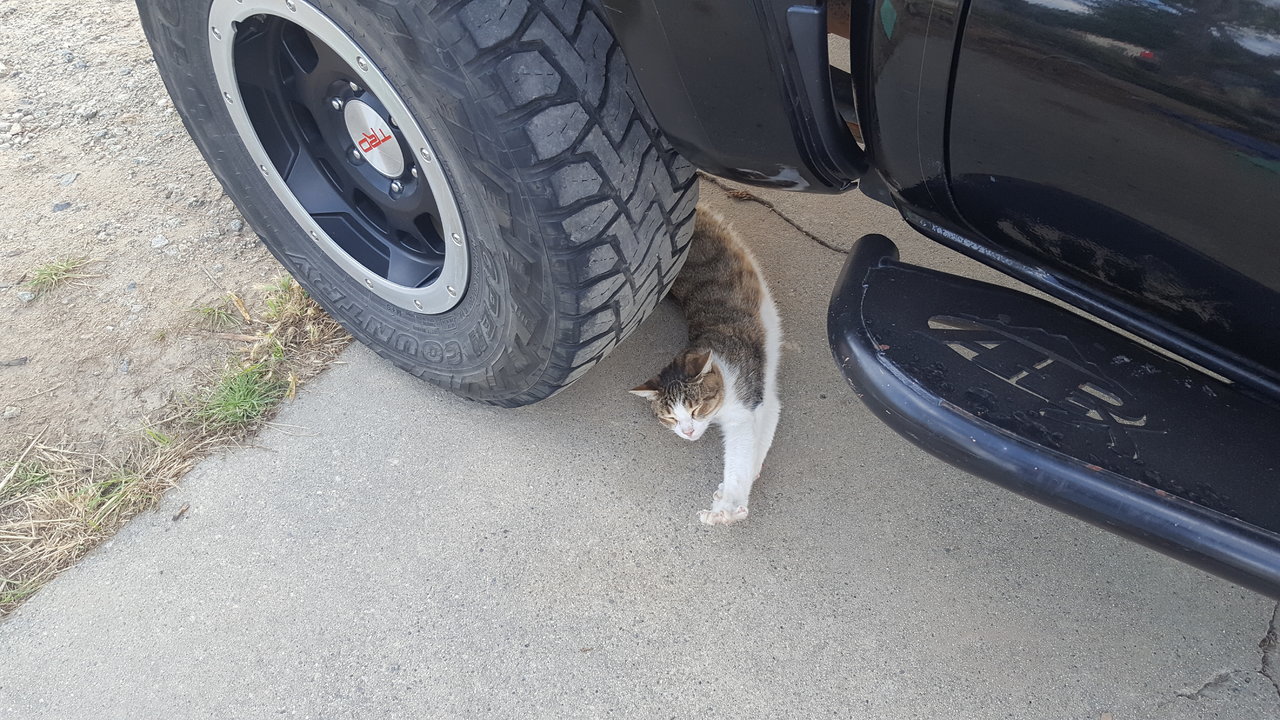 20170911_173212.jpg
