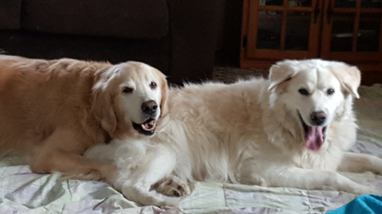 20170911_183919.jpg