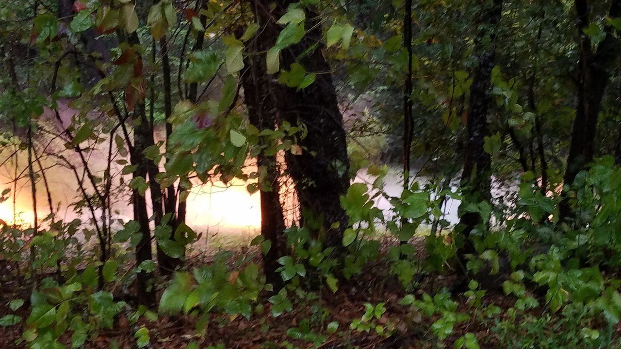 20170911_192805.jpg