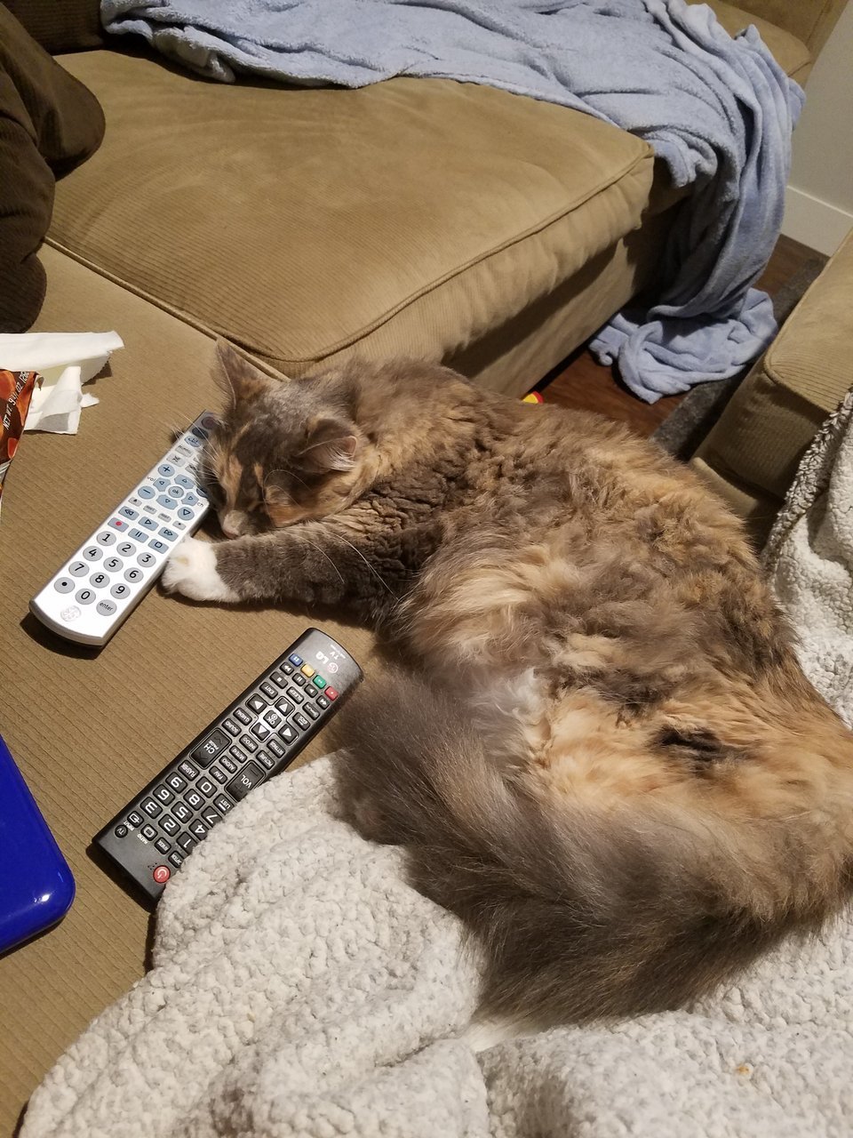 20170911_213928.jpg
