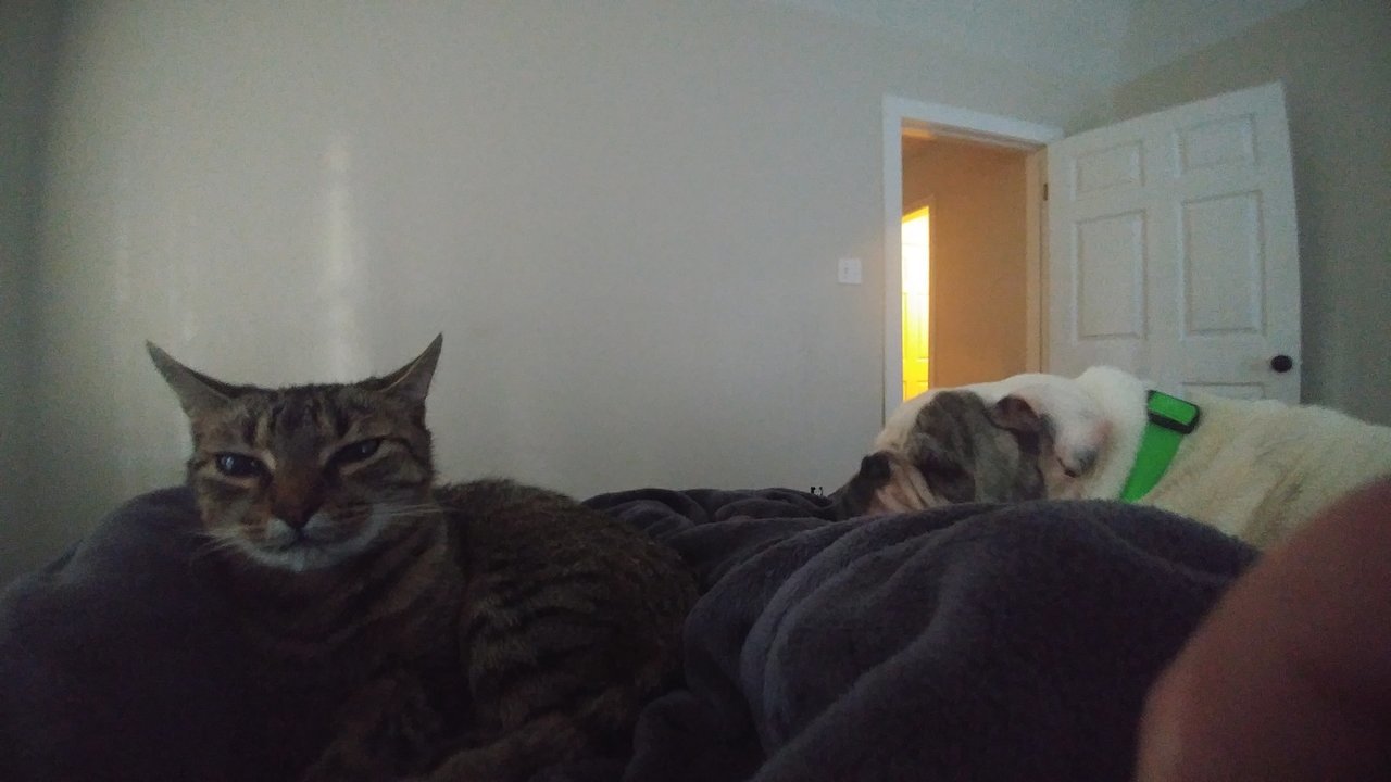 20170912_074642.jpg