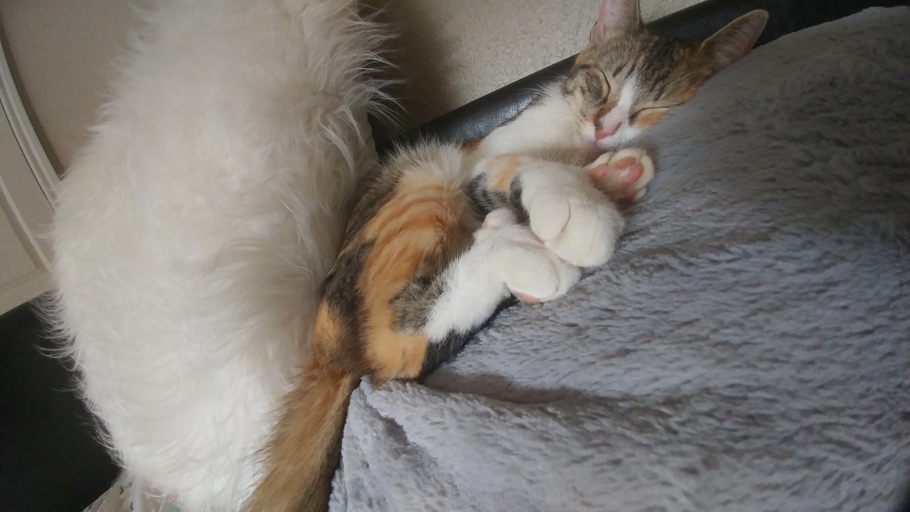 20170913_132305.jpg