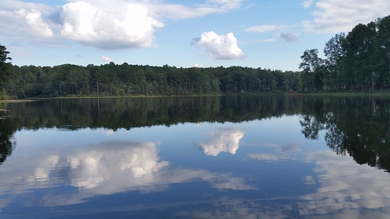 20170914_172019.jpg