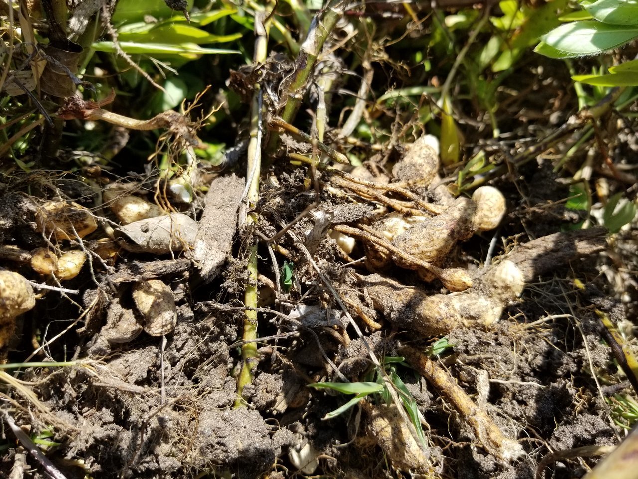 20170915_115122.jpg