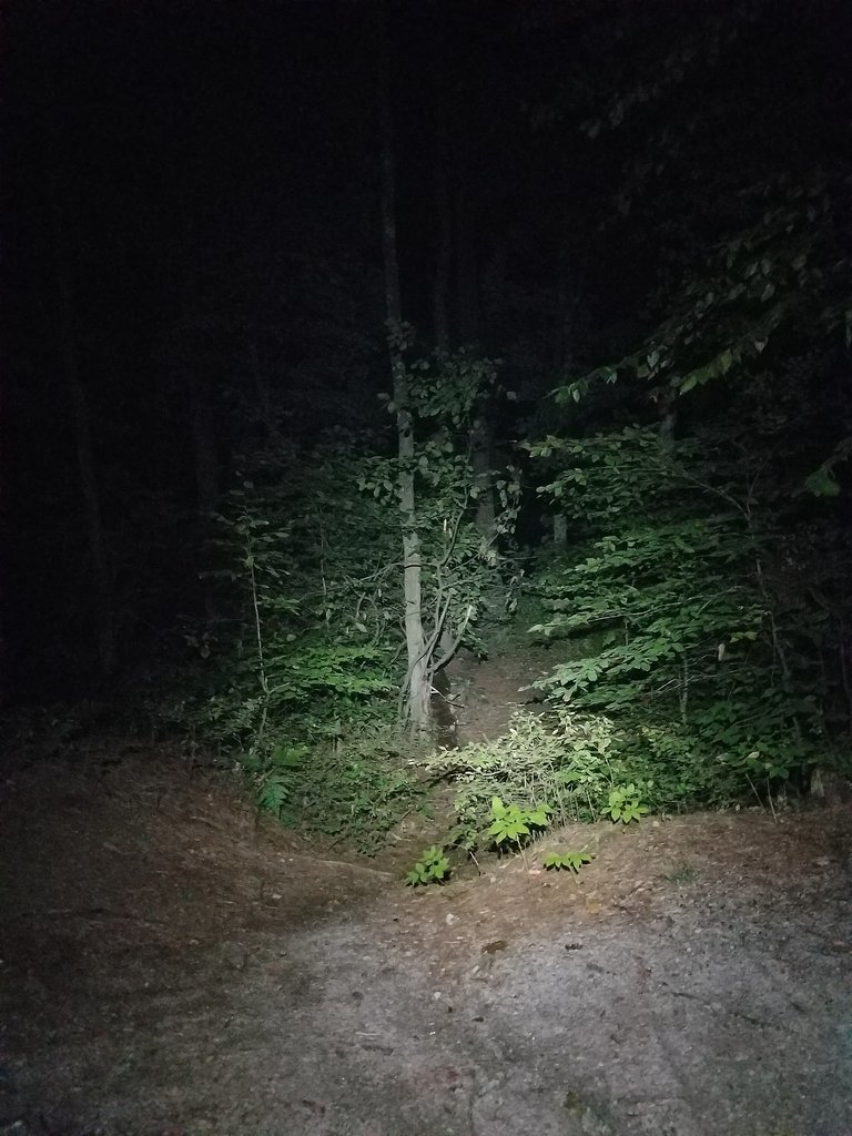 20170915_204301.jpg