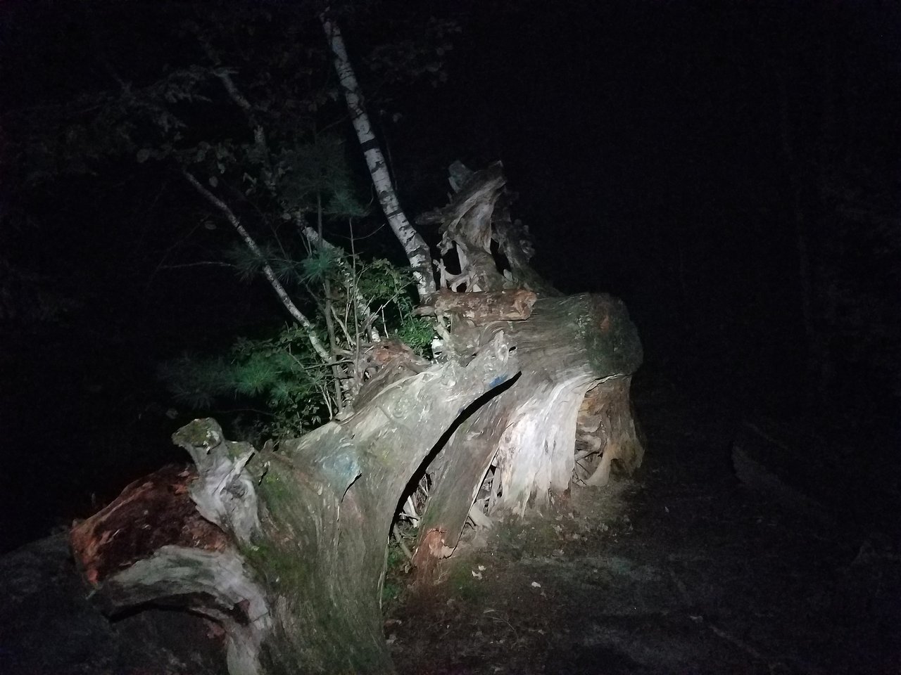 20170915_204356.jpg