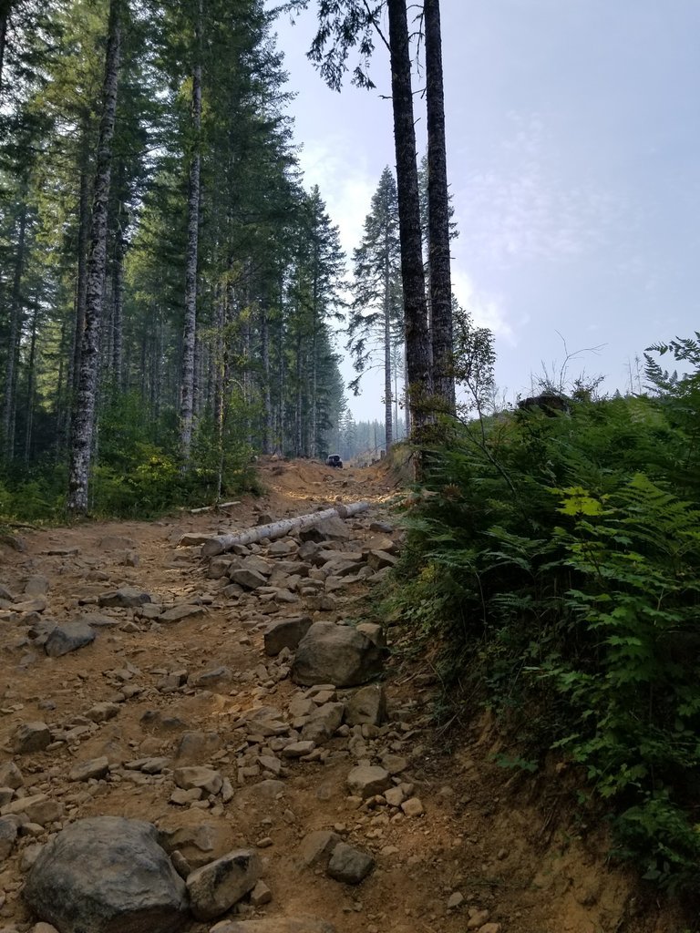 20170916_104251.jpg