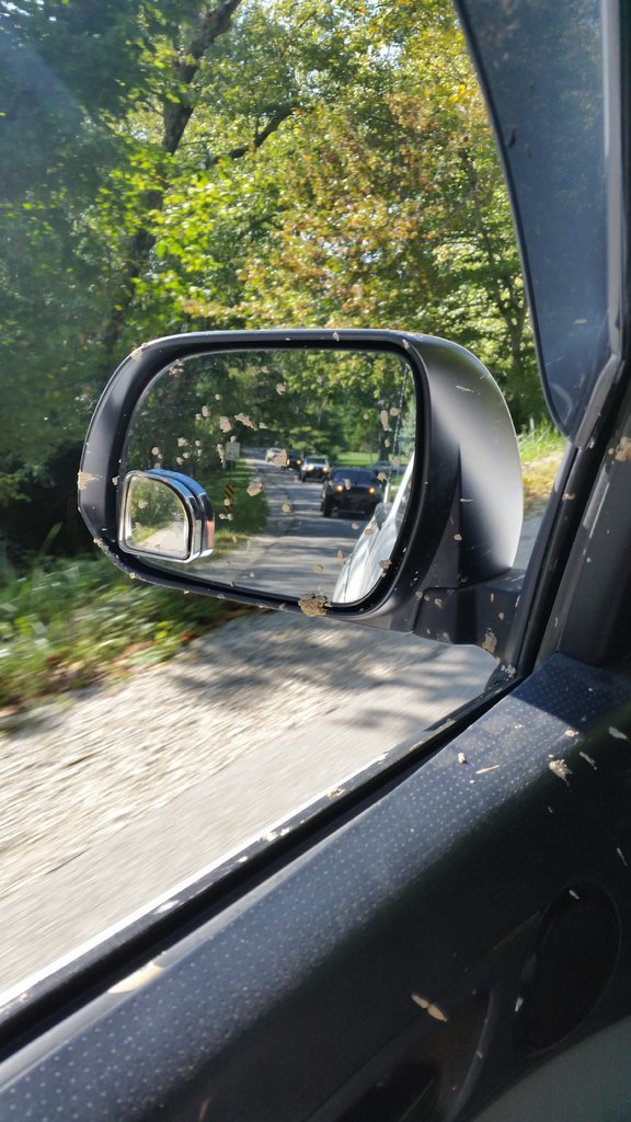 20170916_105952.jpg
