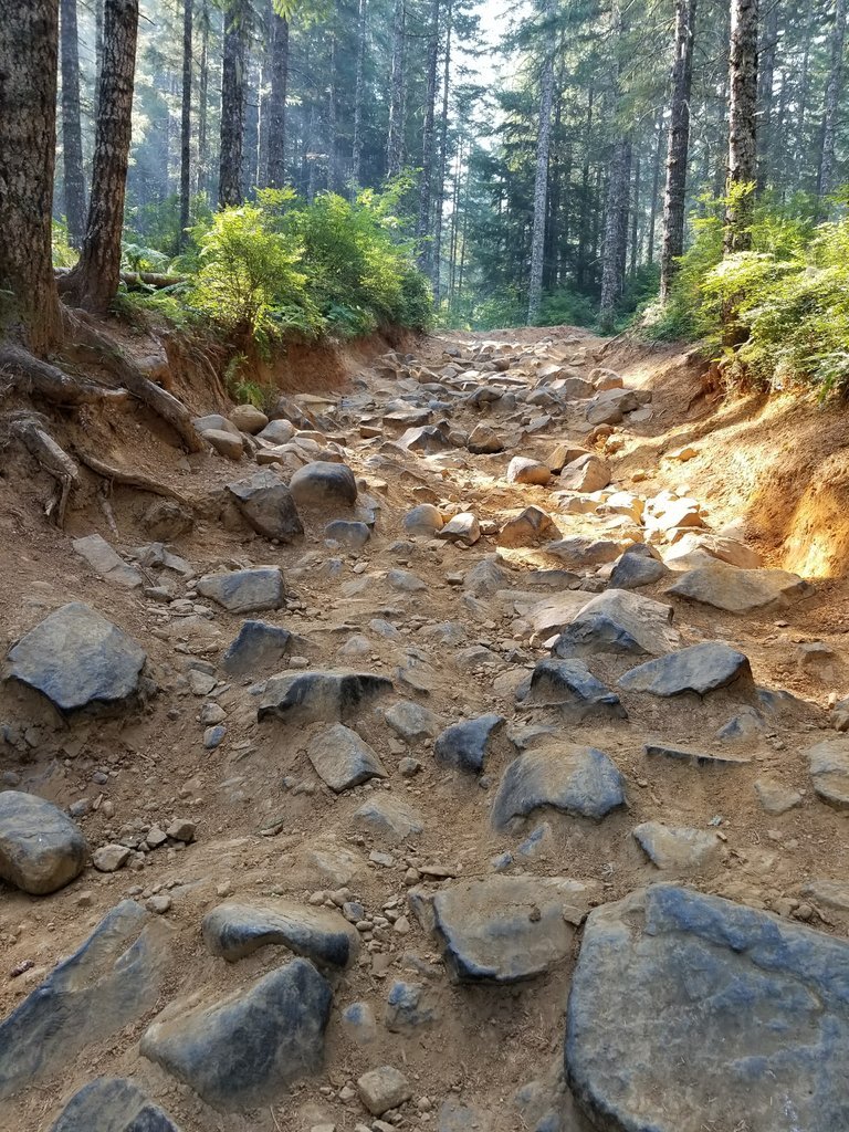 20170916_112227.jpg