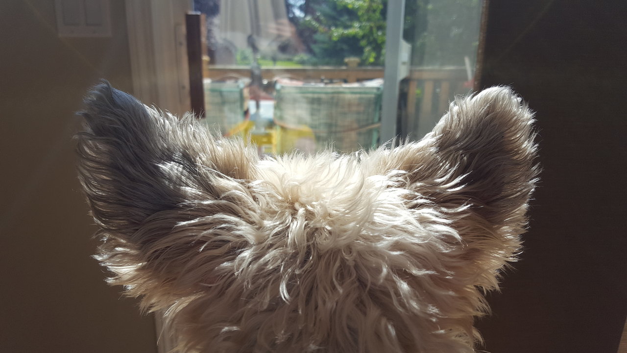 20170916_133716.jpg