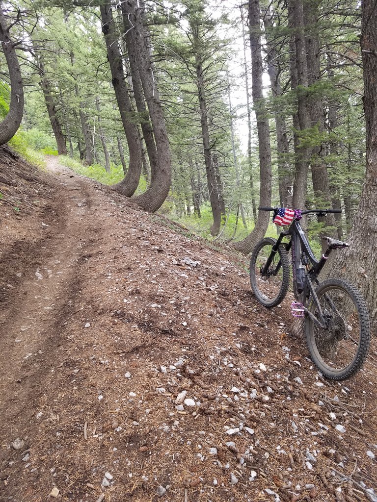 20170917_104220.jpg