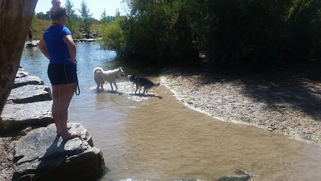 20170917_113330.jpg