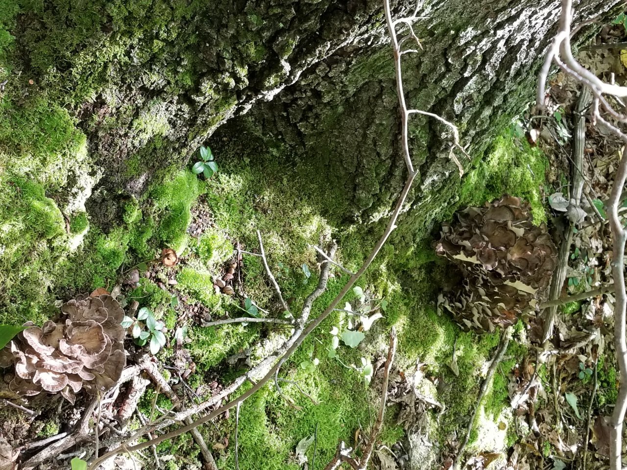 20170917_114042.jpg