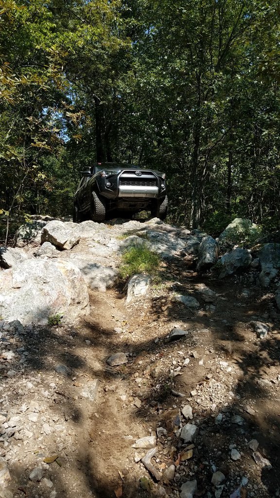 20170917_114820.jpg