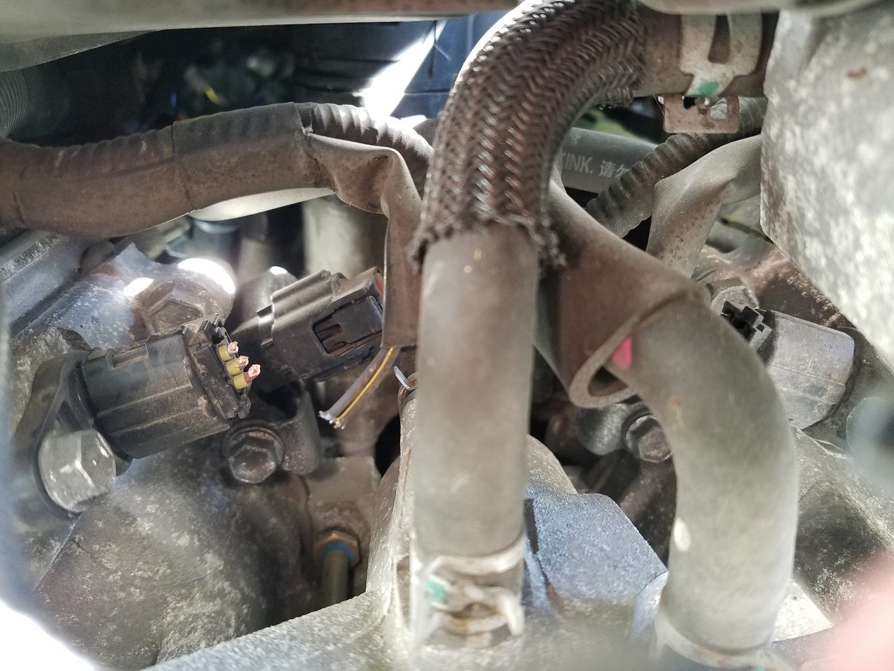 20170917_134552.jpg
