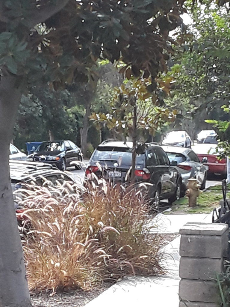 20170920_120841.jpg
