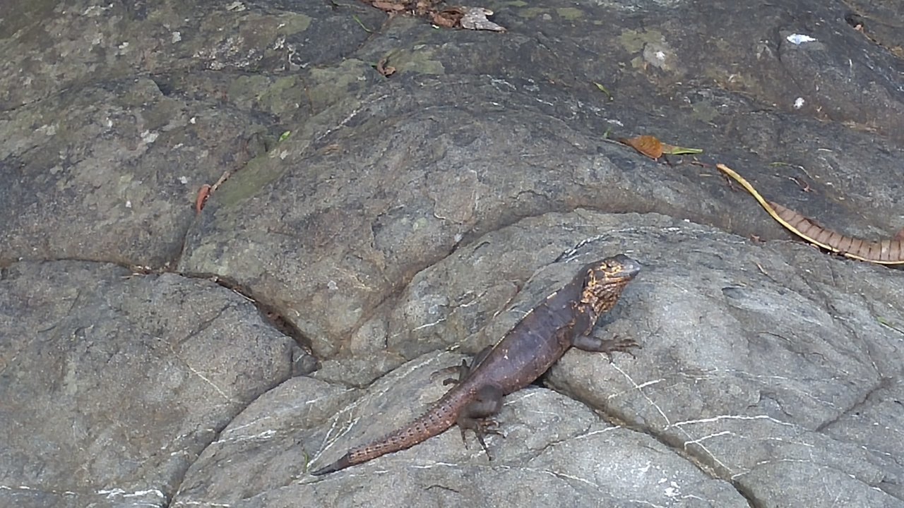20170921_101946.jpg