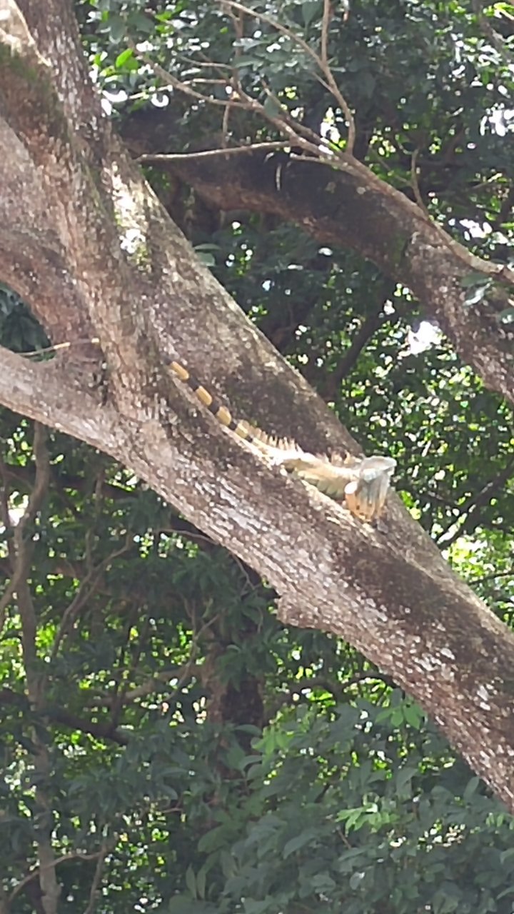 20170922_104636.jpg