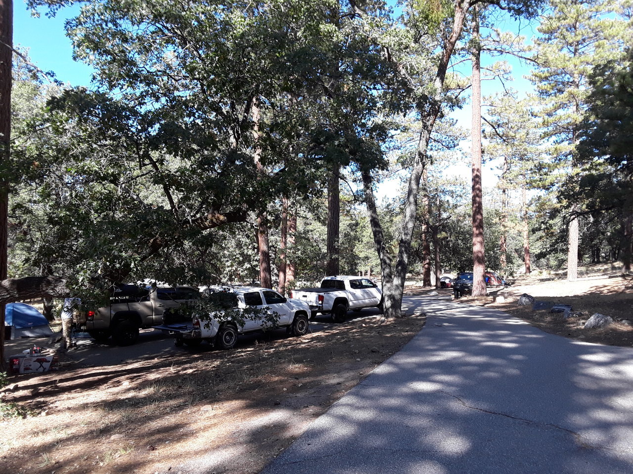 20170923_094635.jpg