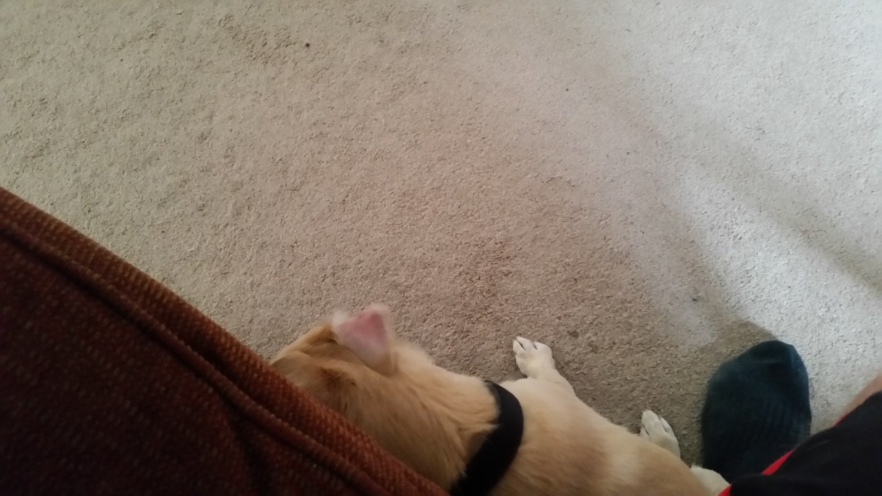 20170923_122223.jpg