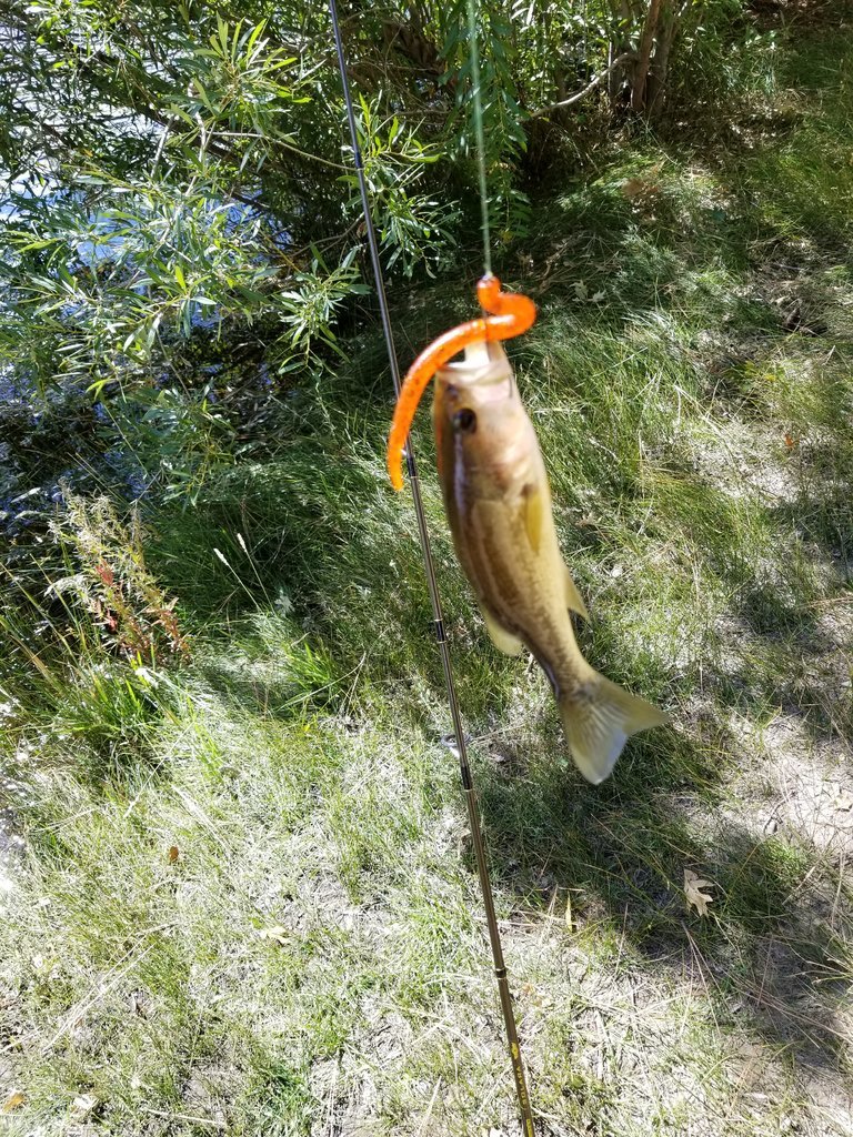 20170923_135702.jpg
