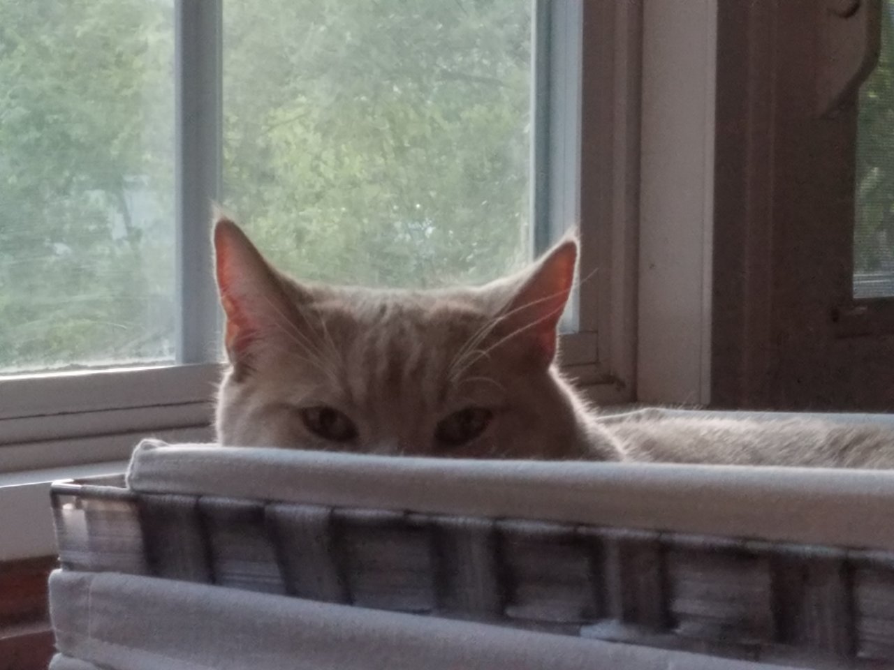 20170923_182438.jpg