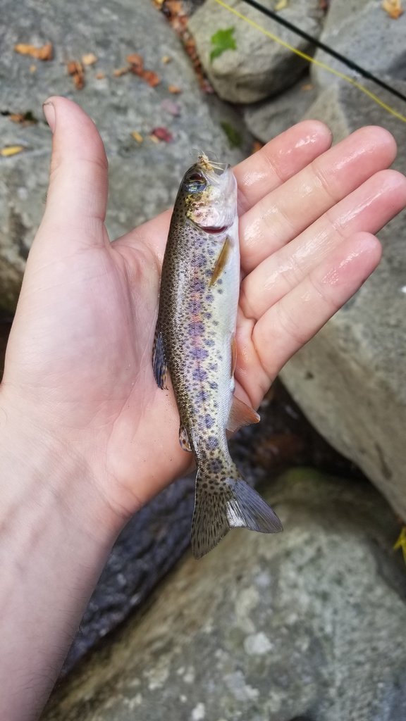 20170924_101130.jpg