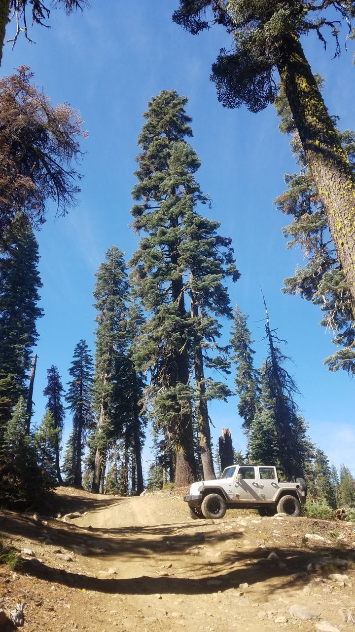 20170924_113344.jpg