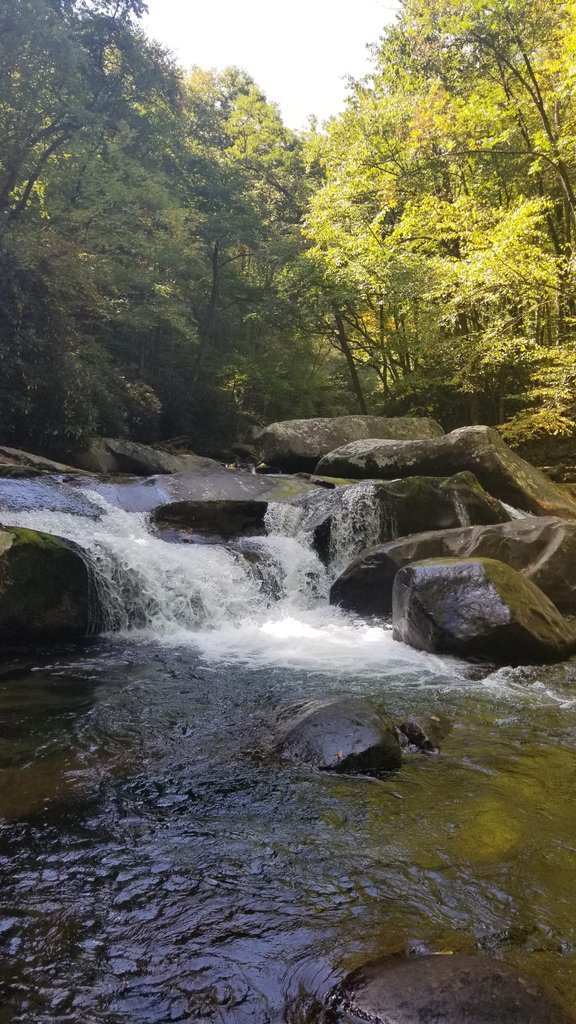 20170924_115343.jpg