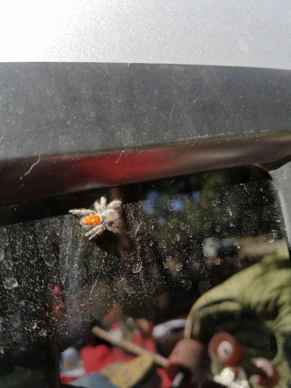 20170924_131939.jpg