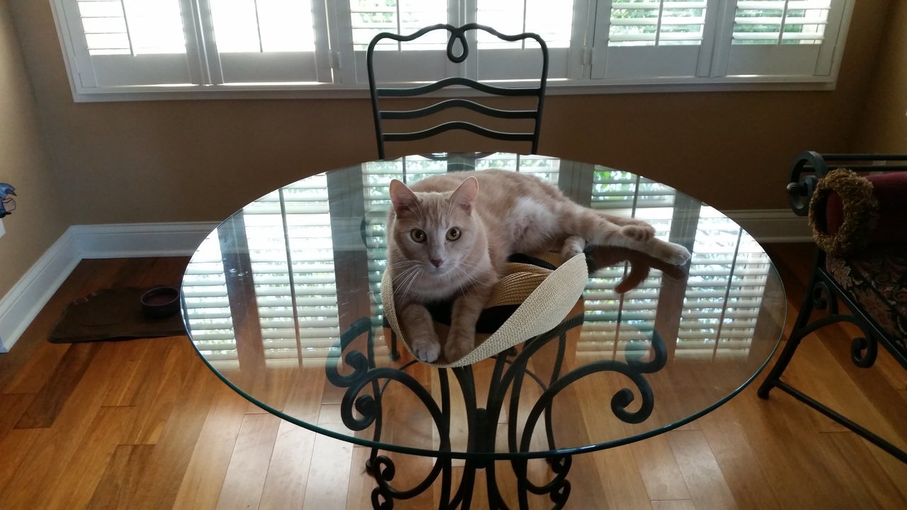 20170924_145022.jpg