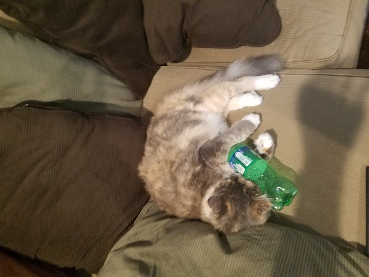20170924_183207.jpg