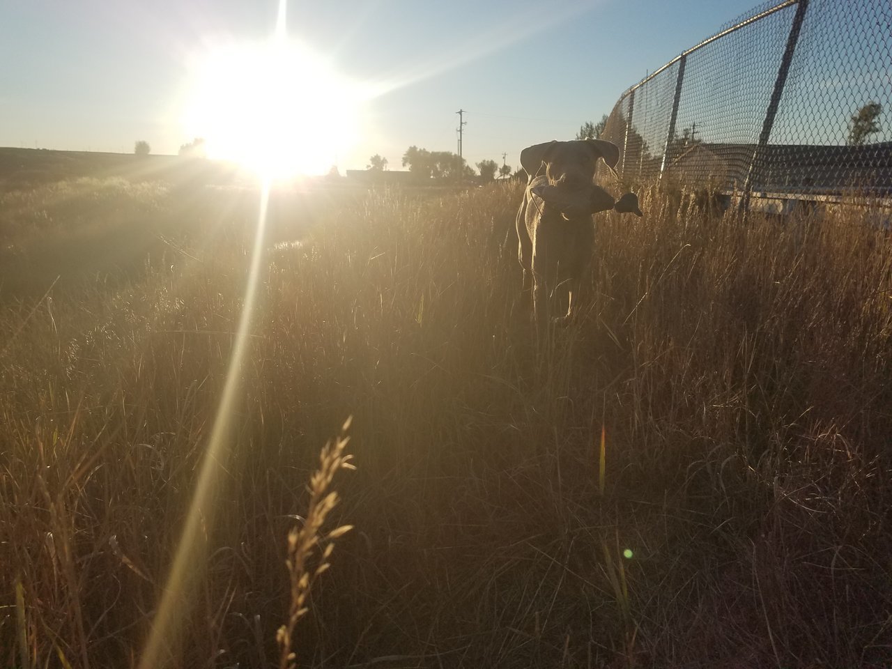 20170925_183514.jpg