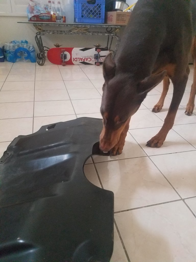 20170926_114137.jpg