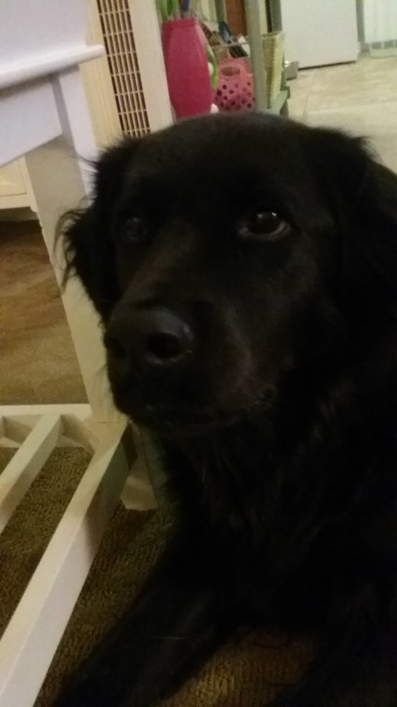 20170927_201840.jpg