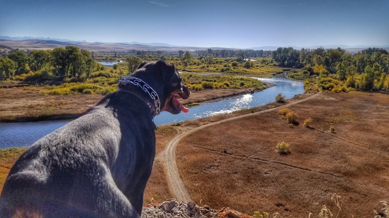 20170928_100640-01.jpg