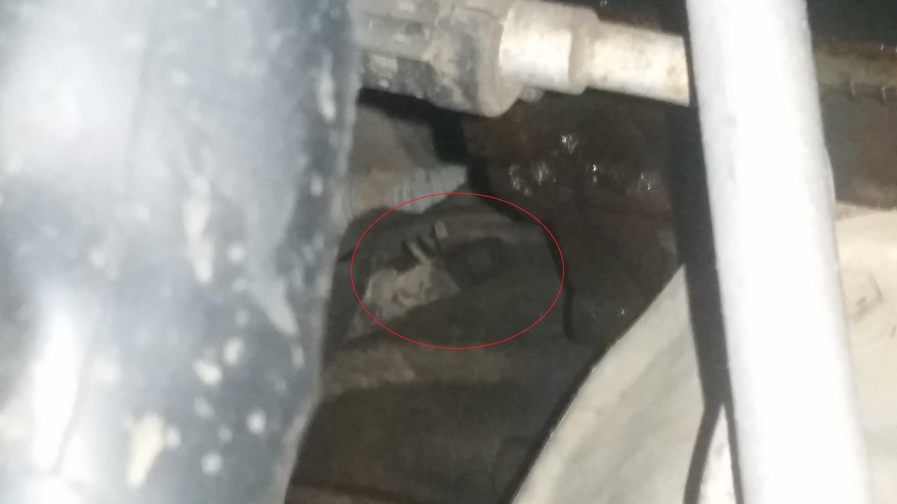 20170928_192243.jpg
