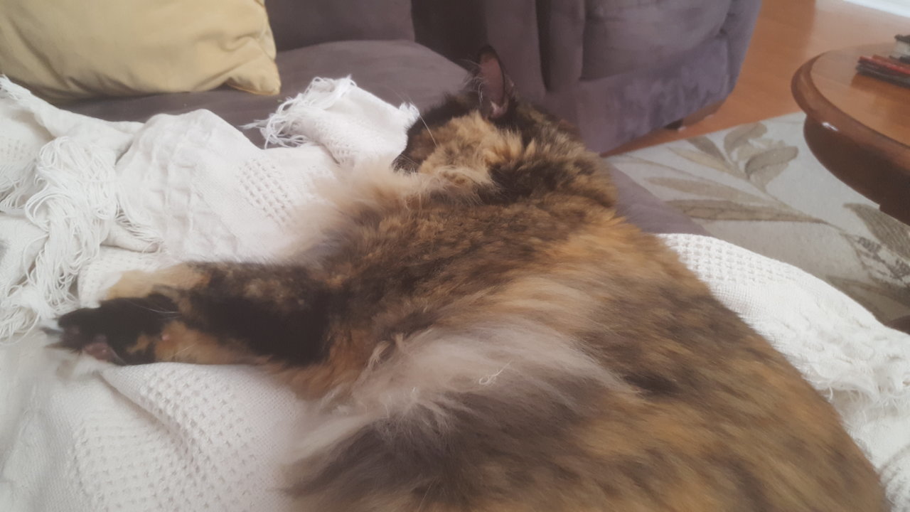 20170929_120107.jpg