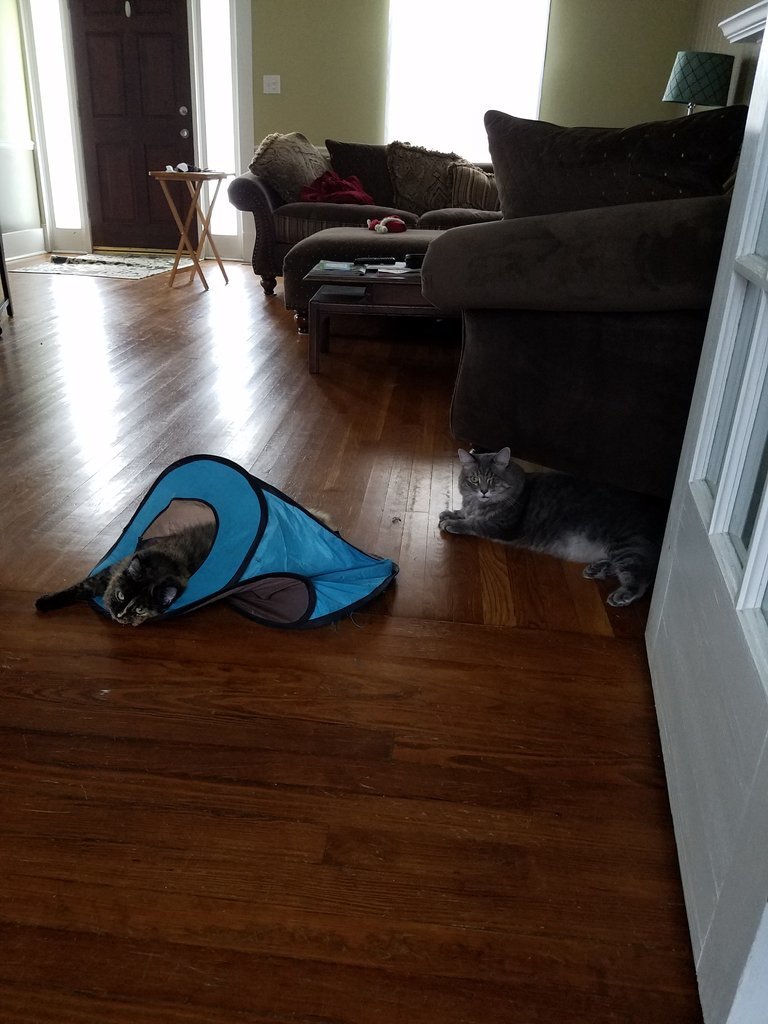 20170929_172401.jpg