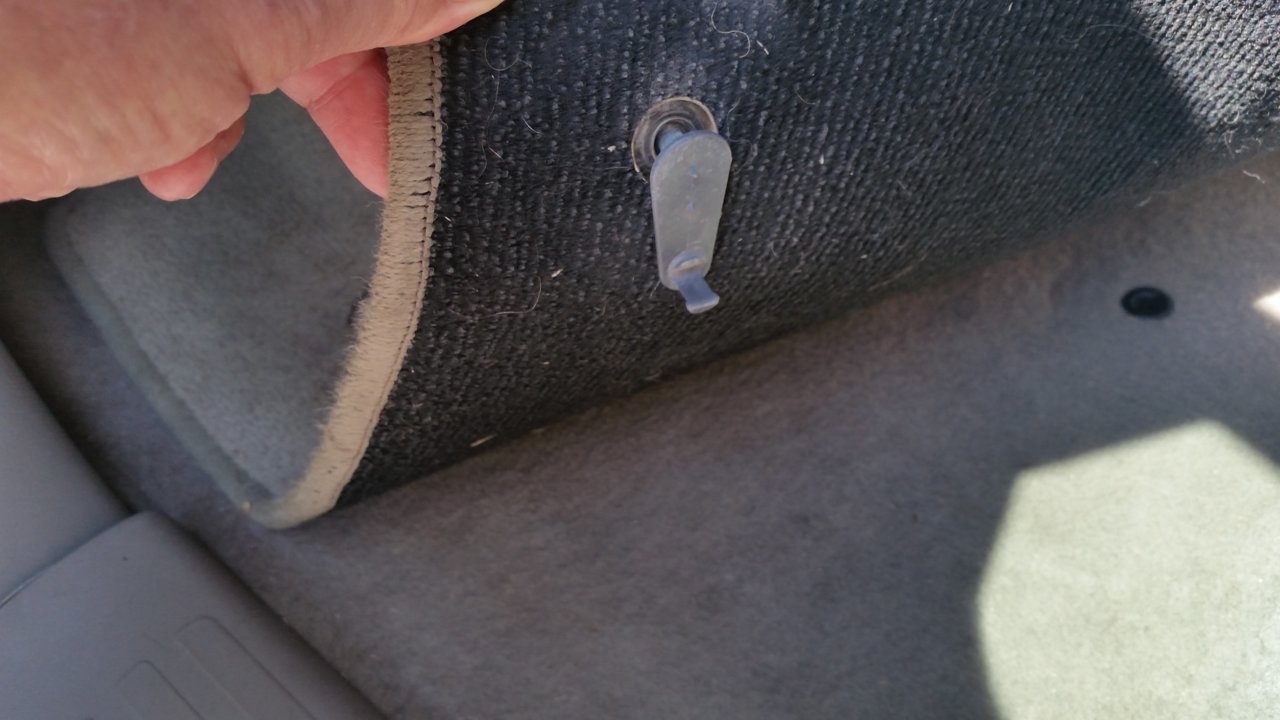 20171001_134437.jpg