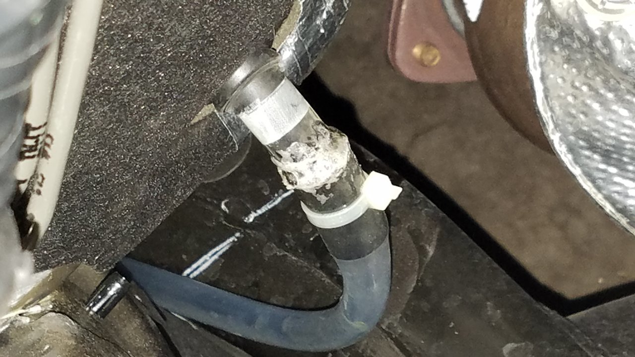 20171001_141812.jpg