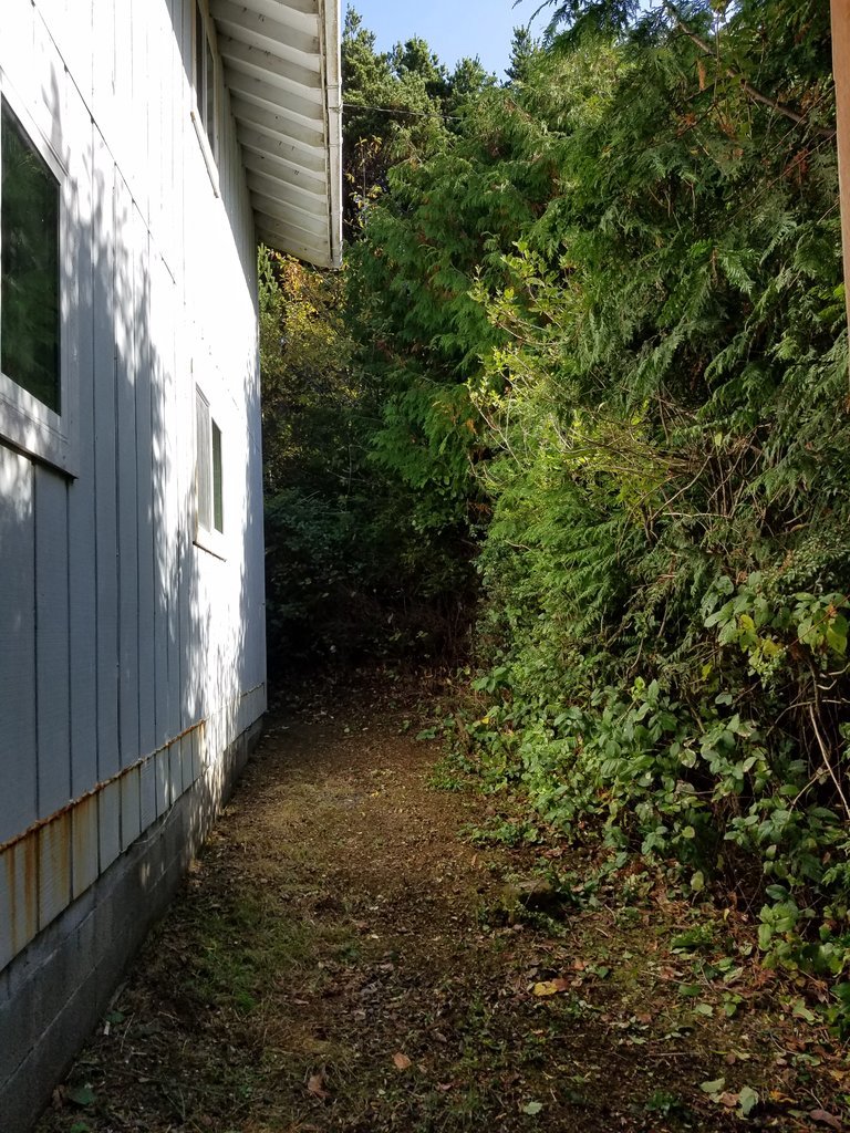 20171002_122338.jpg