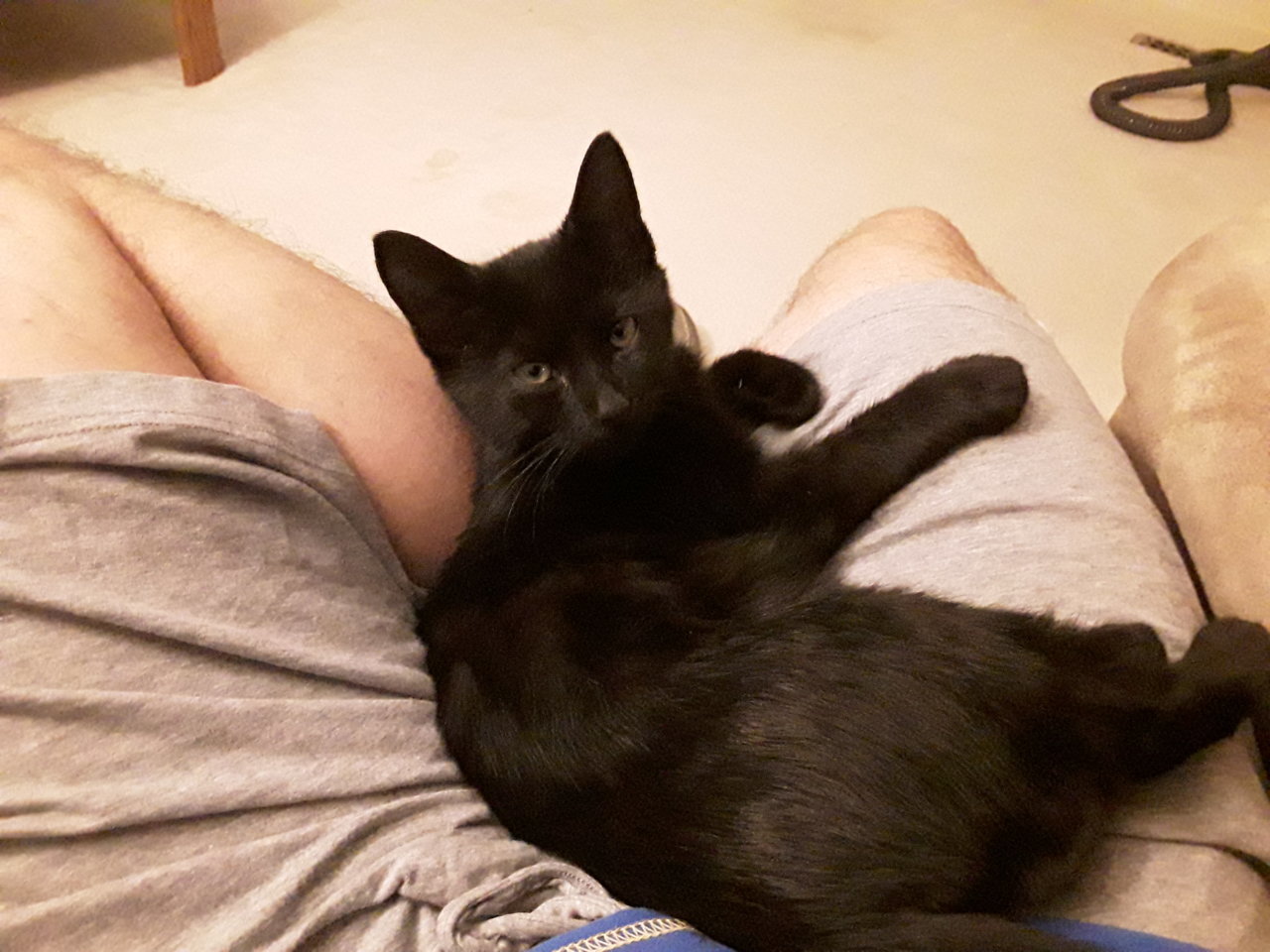 20171002_204856.jpg