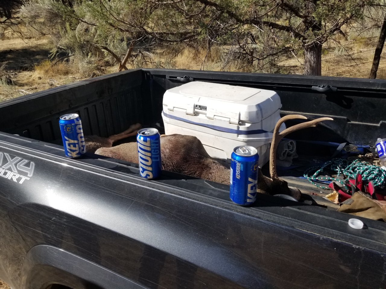 20171003_131115.jpg