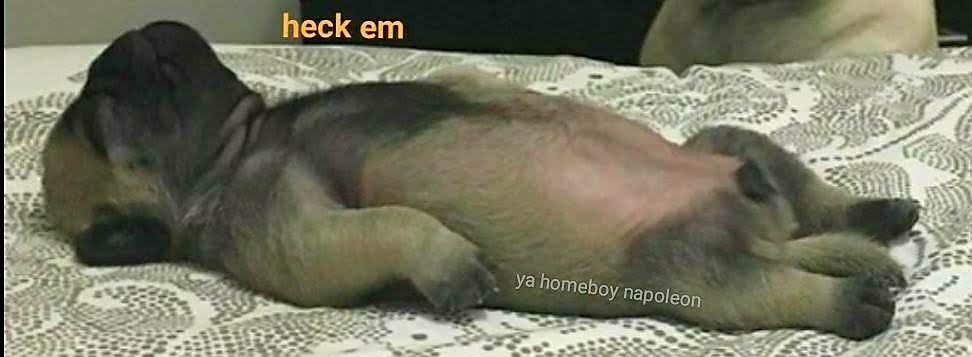 20171003_202442.jpg