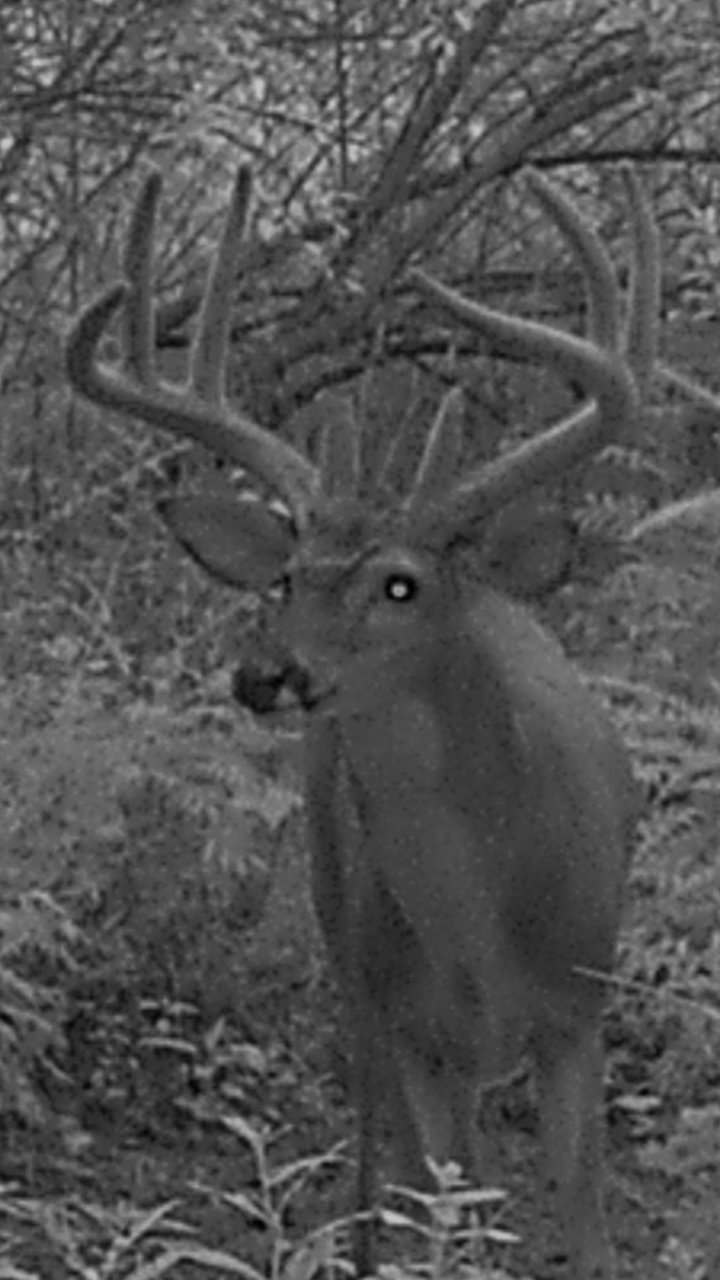 20171004_220913.jpg