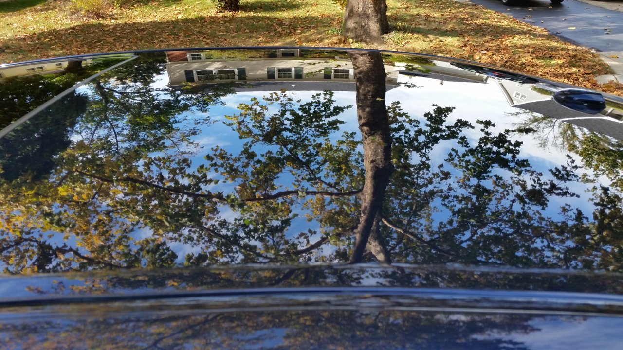 20171005_115046.jpg