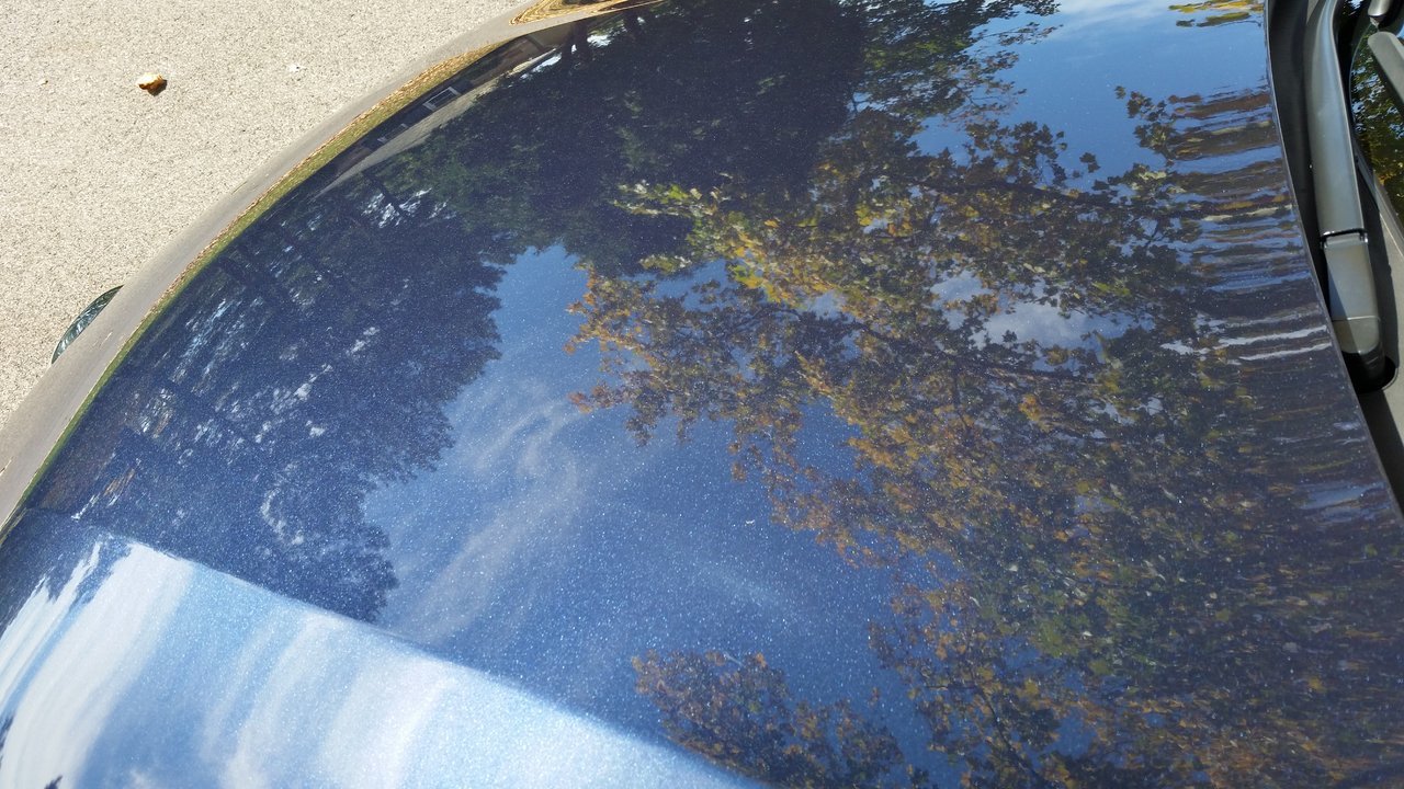 20171005_115153.jpg